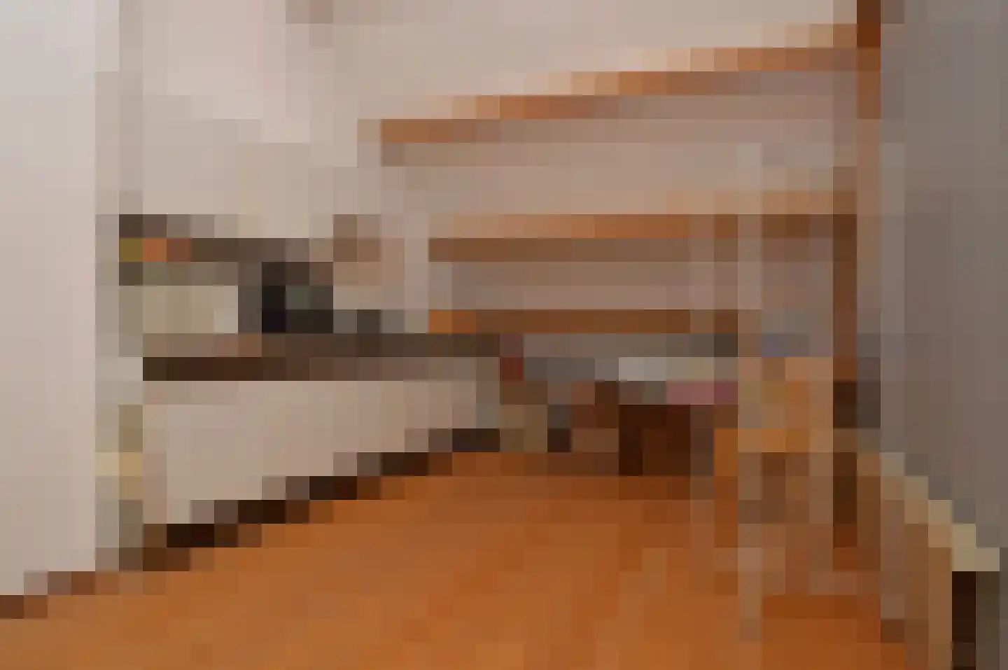 Oude Molen 8 Liessel thumbnail 25