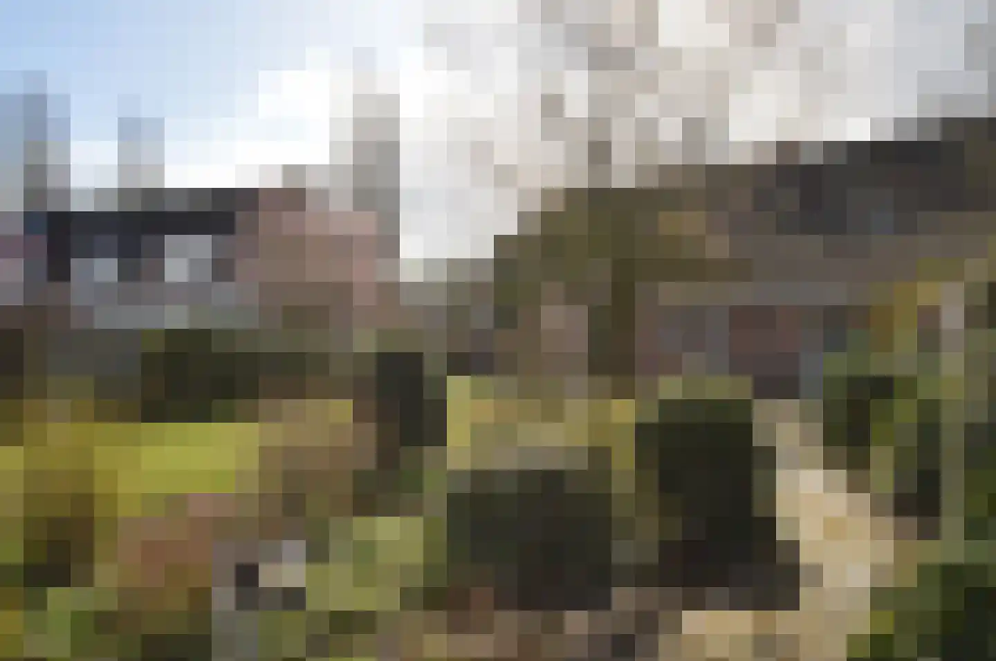 Oude Molen 8 Liessel thumbnail 31