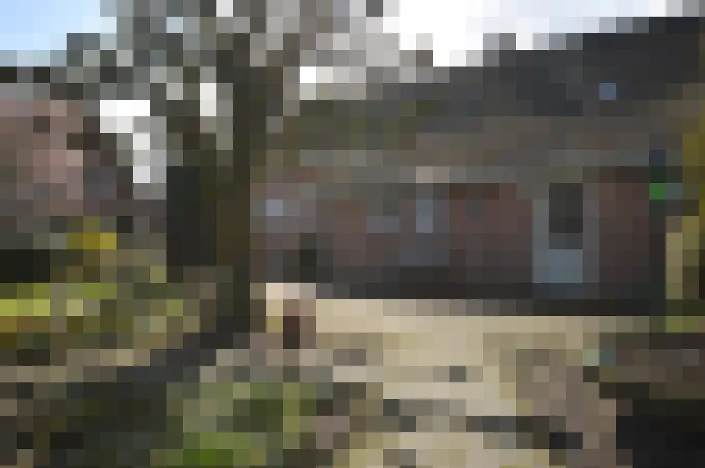 Oude Molen 8 Liessel thumbnail 32