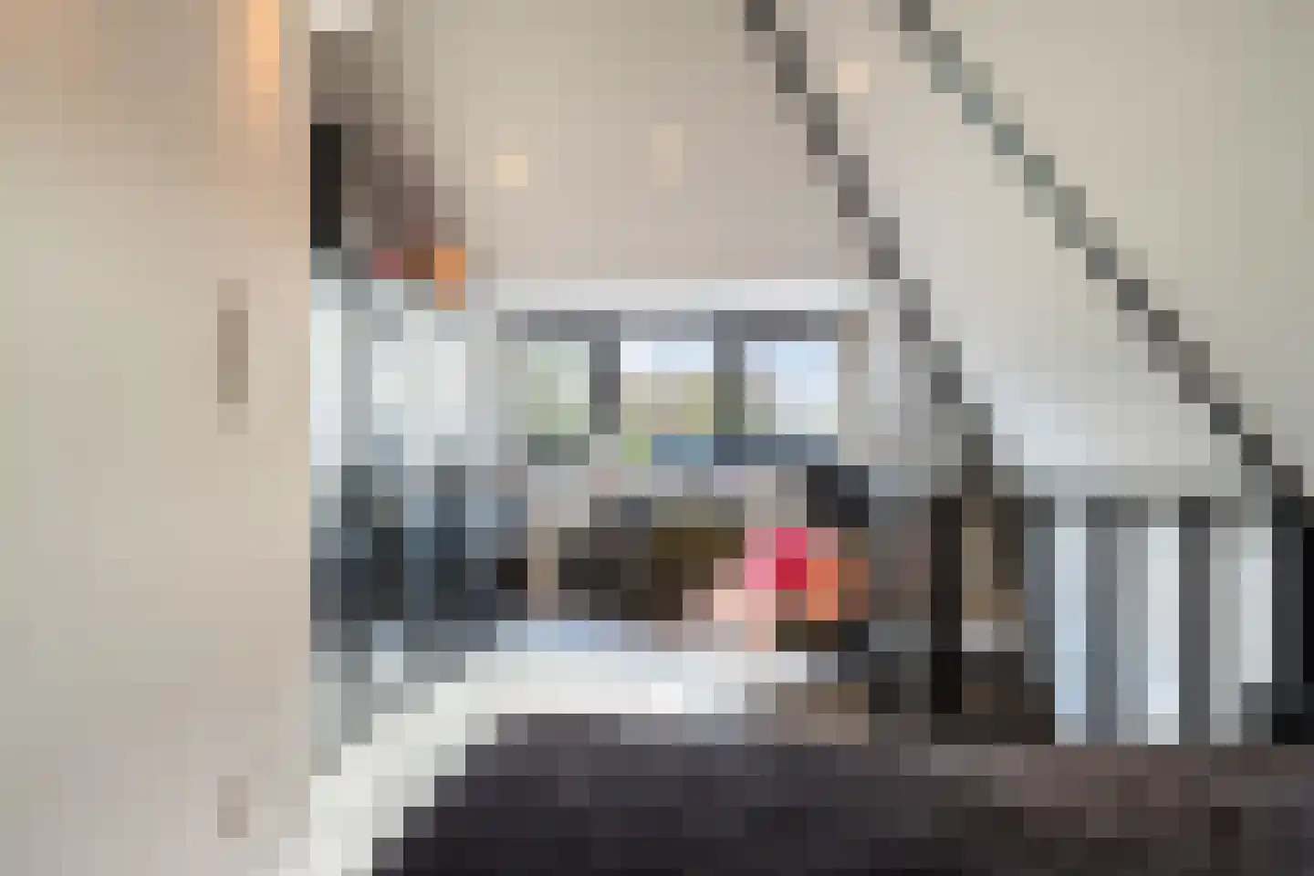 Oude Molenmeent 11 Loosdrecht thumbnail 30