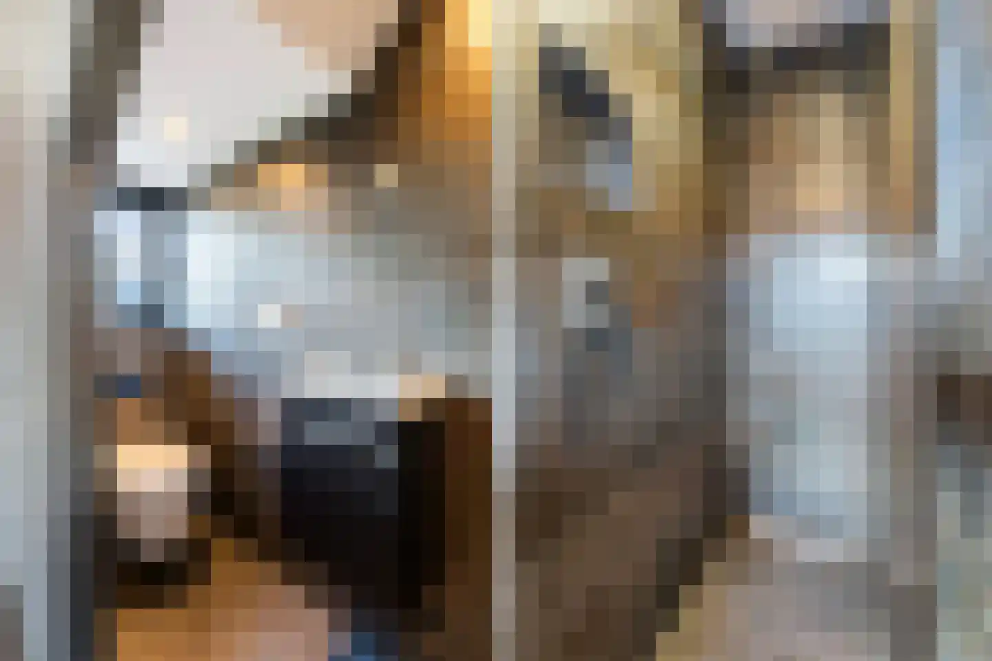 Oude Molenmeent 11 Loosdrecht thumbnail 32
