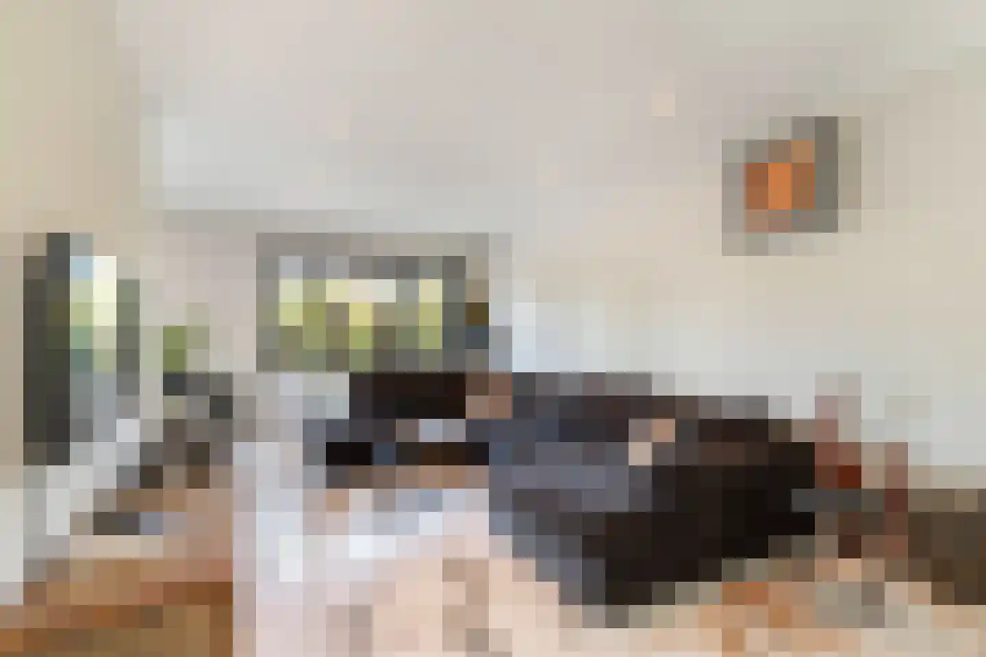 Oude Molenmeent 11 Loosdrecht thumbnail 6