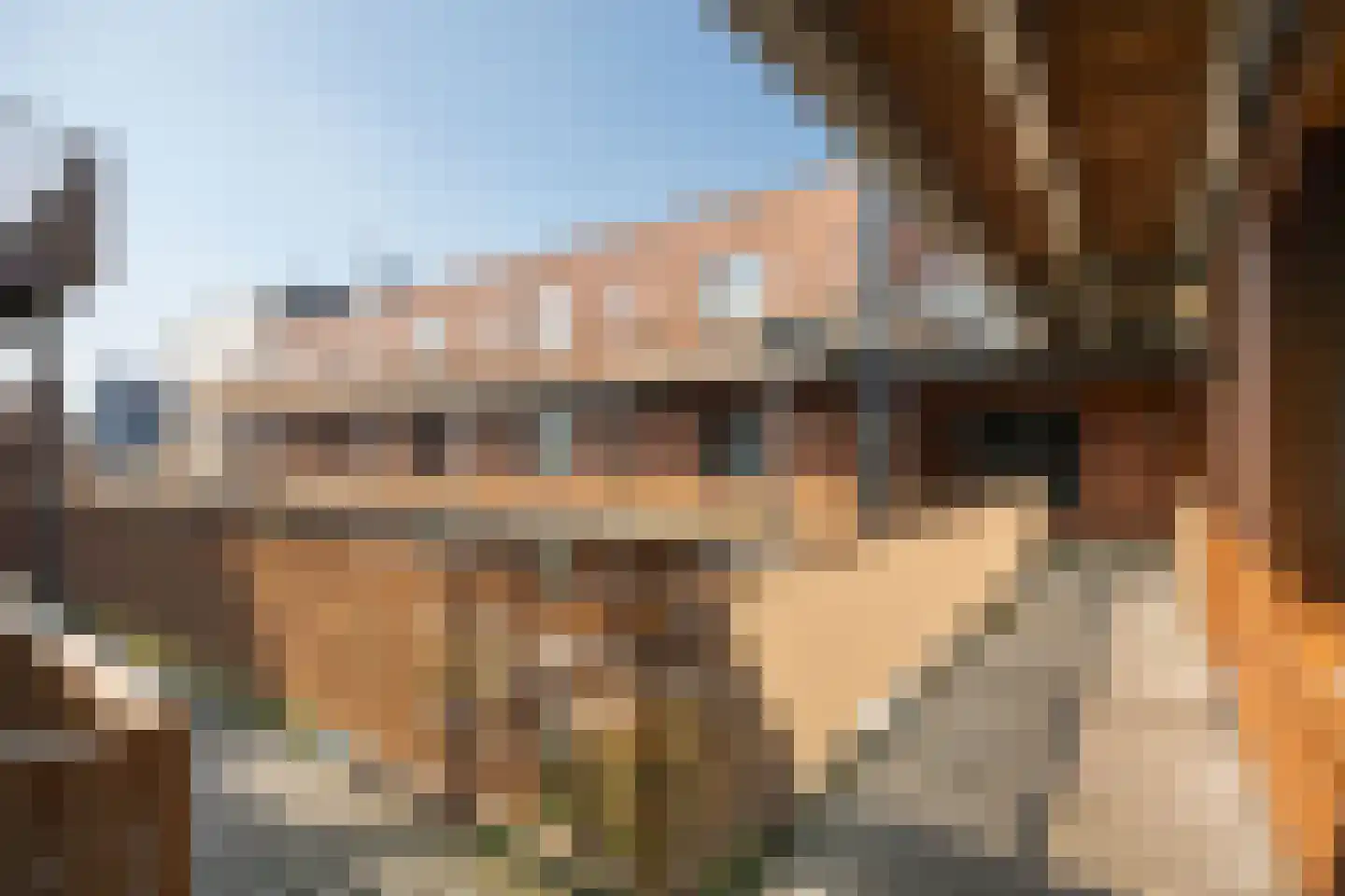 Oude-Molenstraat 1 A 23 Assen thumbnail 7