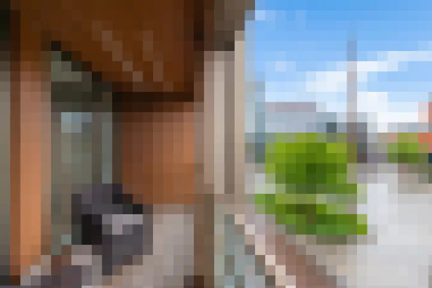 Oude-Molenstraat 1 A 6 Assen thumbnail 26
