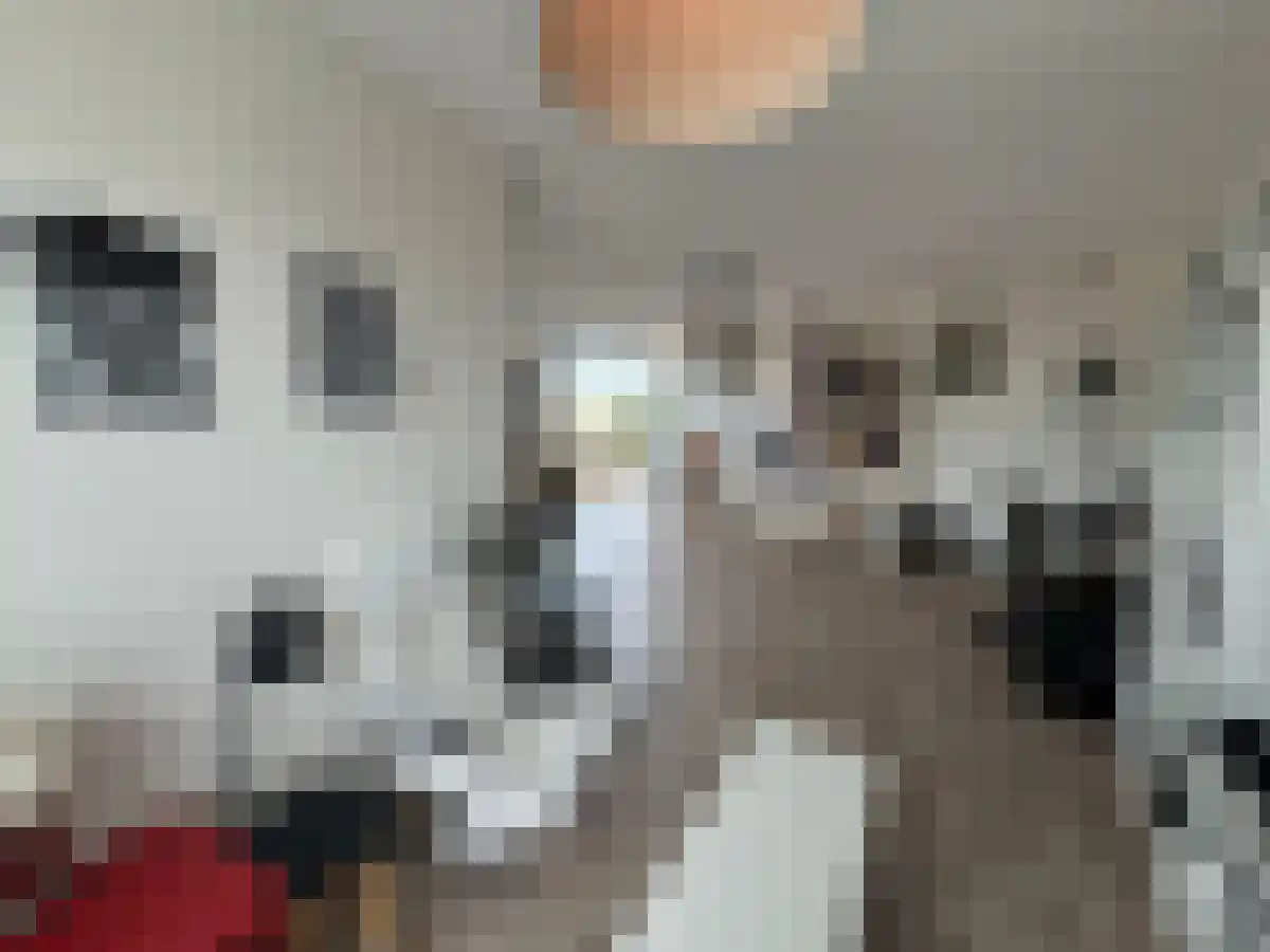 Oude-Molenstraat 1 Assen thumbnail 5