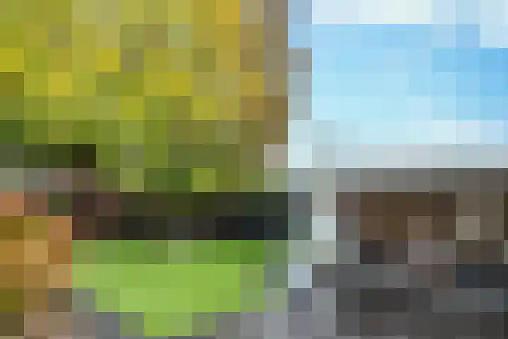 Oude Molenstraat 10 Zeeland thumbnail 31