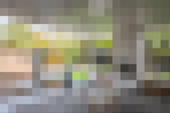 Oude Molenstraat 10 Zeeland thumbnail 33
