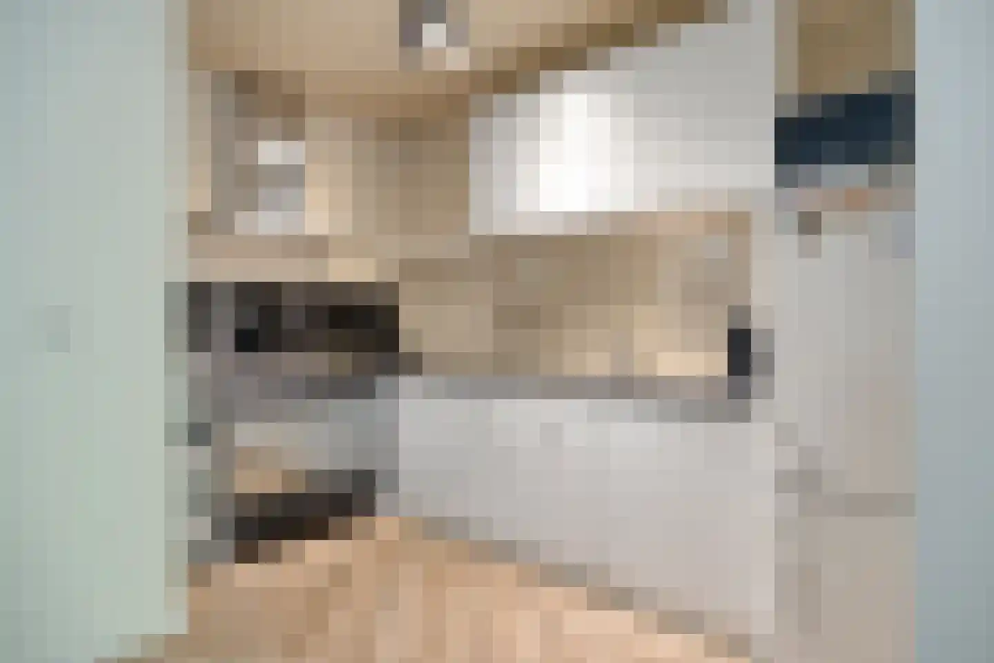 Oude-Molenstraat 15 Assen thumbnail 16