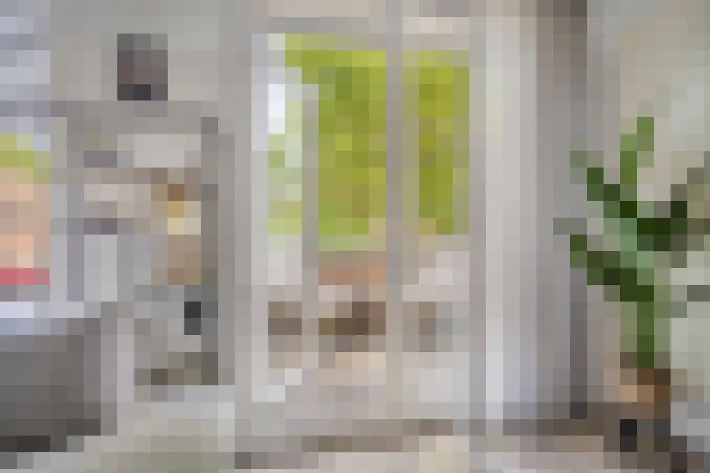 Oude-Molenstraat 17 Assen thumbnail 19