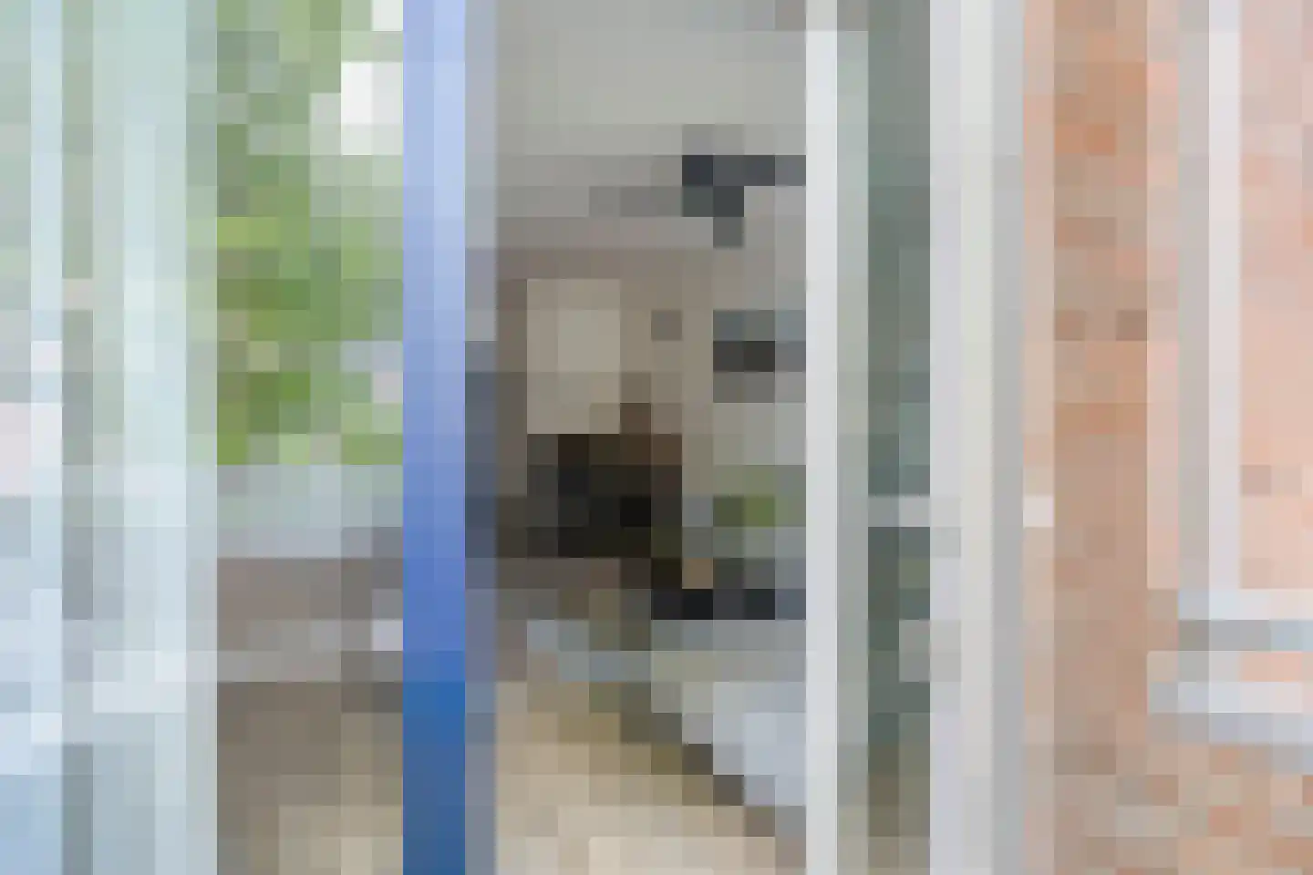 Oude-Molenstraat 17 Assen thumbnail 23