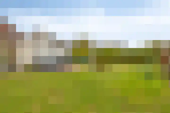 Oude Molenstraat 21 Zeeland thumbnail 27