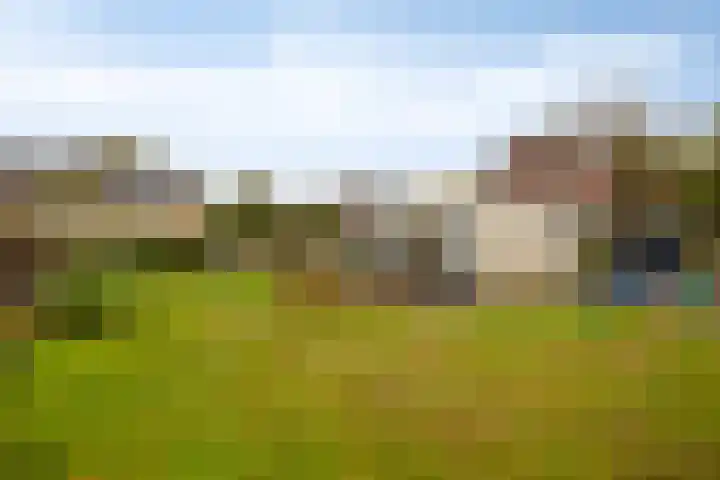 Oude Molenstraat 21 Zeeland thumbnail 28