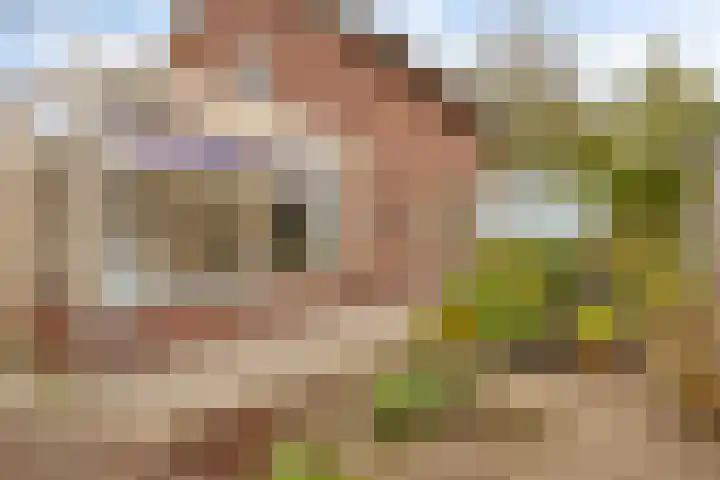 Oude Molenstraat 21 Zeeland thumbnail 31