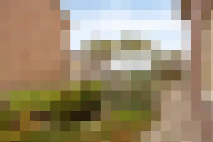 Oude Molenstraat 21 Zeeland thumbnail 32