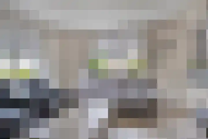 Oude Molenstraat 21 Zeeland thumbnail 4