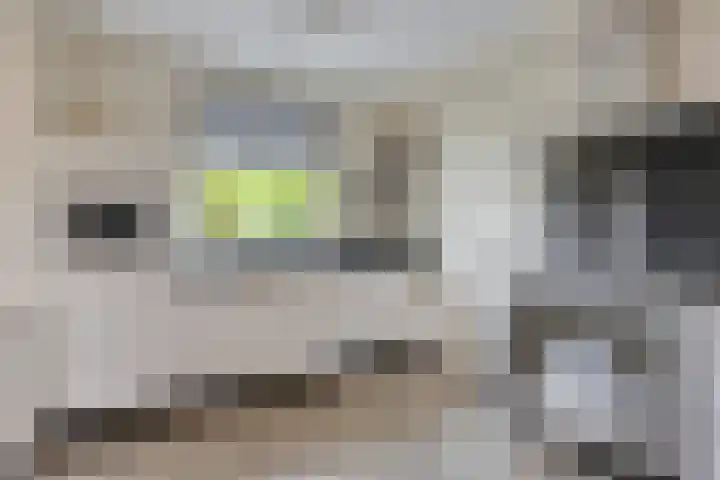 Oude Molenstraat 21 Zeeland thumbnail 8