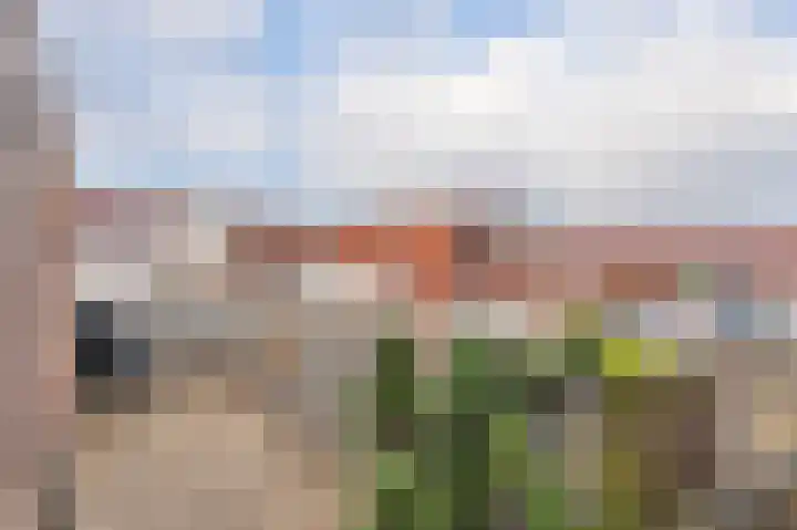 Oude-Molenstraat 3 Assen thumbnail 13
