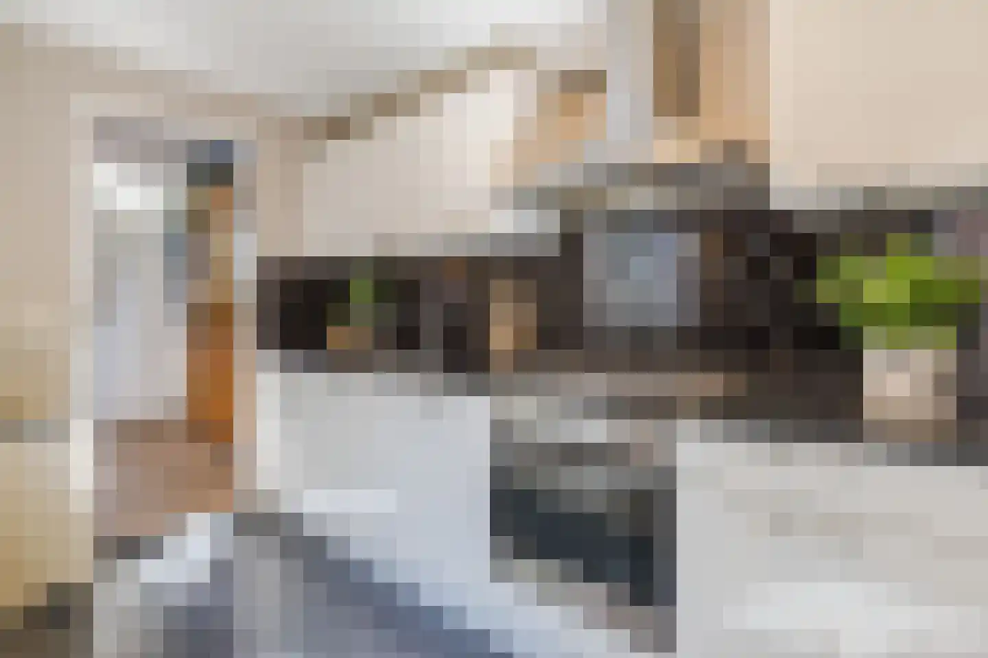 Oude-Molenstraat 42 Assen thumbnail 16