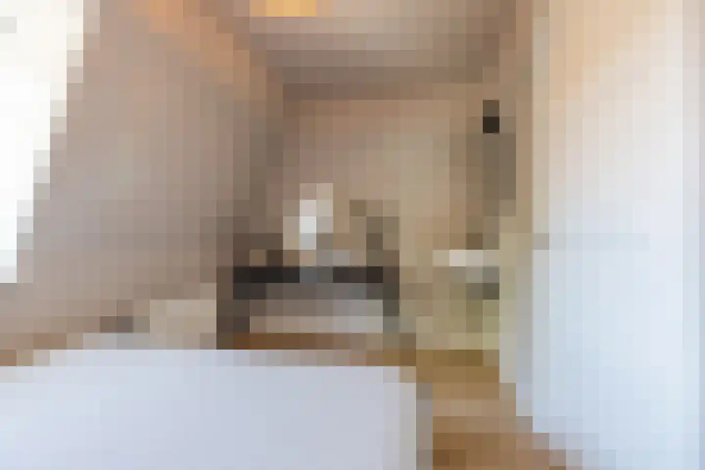 Oude-Molenstraat 42 Assen thumbnail 27