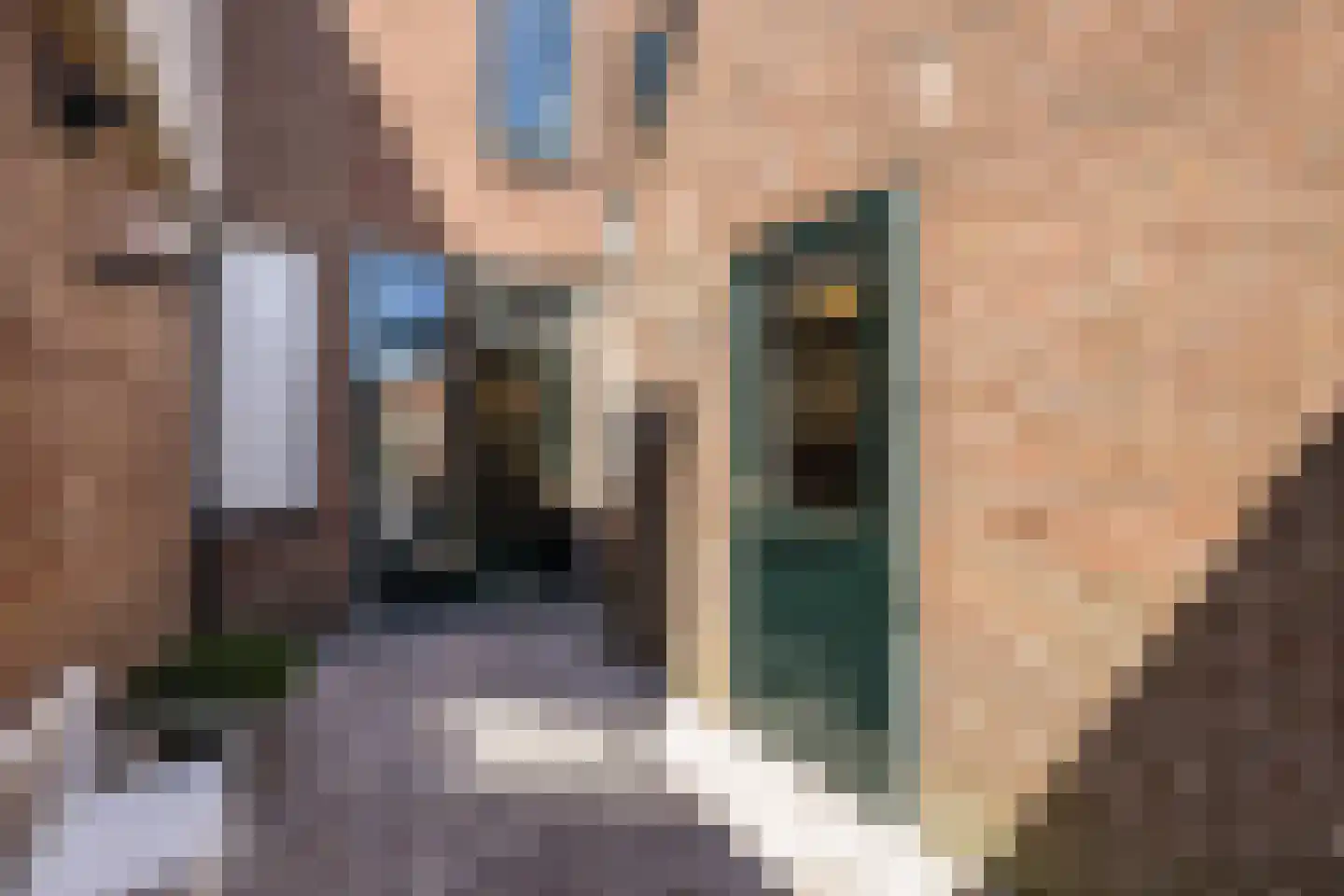 Oude-Molenstraat 42 Assen thumbnail 39