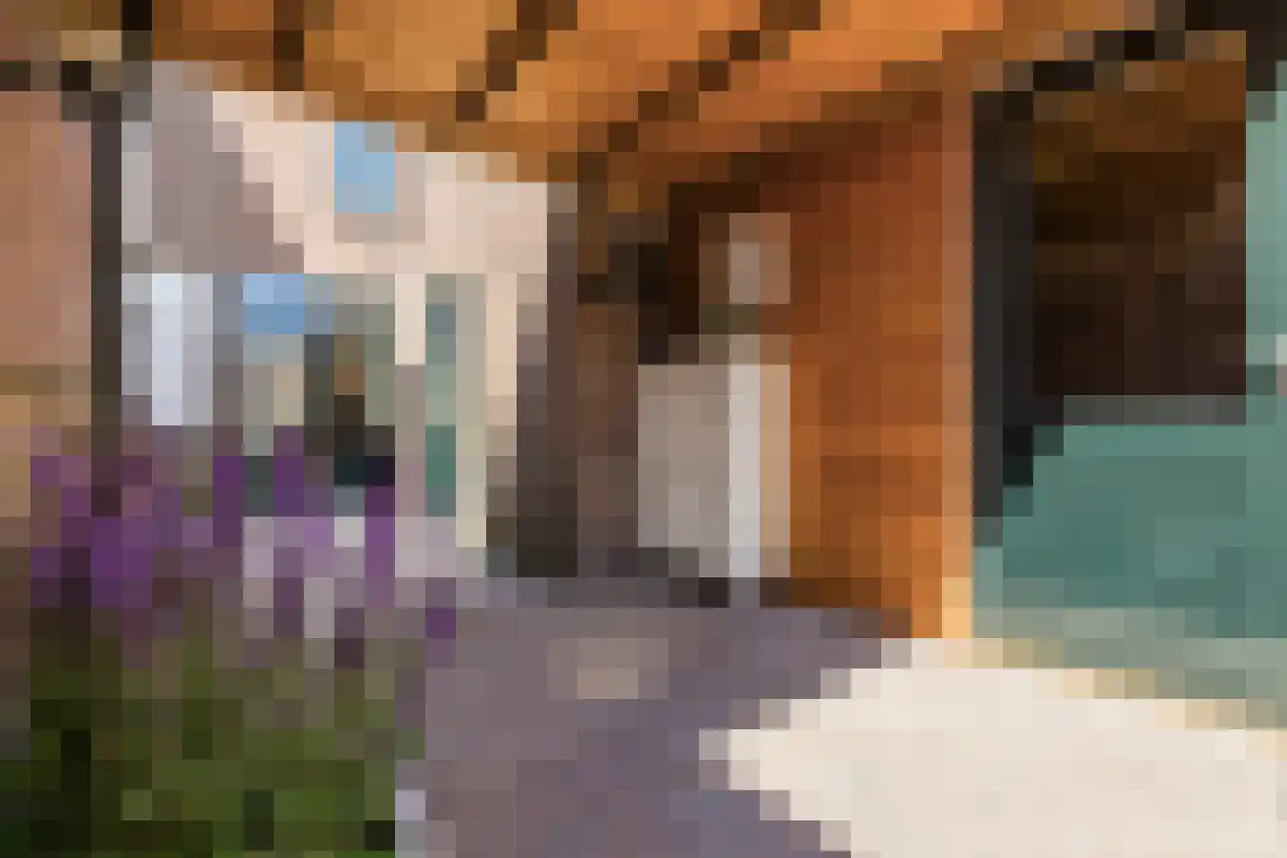 Oude-Molenstraat 42 Assen thumbnail 44