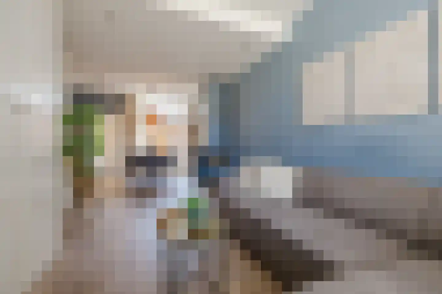 Oude-Molenstraat 42 Assen thumbnail 7