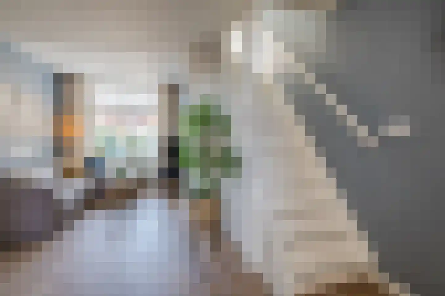 Oude-Molenstraat 42 Assen thumbnail 8