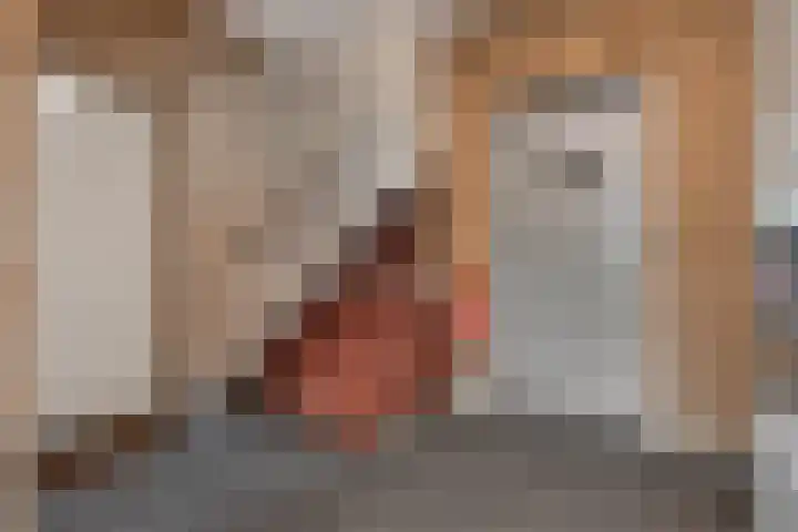 Oude Molenstraat 68 Oss thumbnail 36