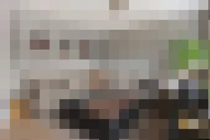 Oude Molenstraat 68 Oss thumbnail 4