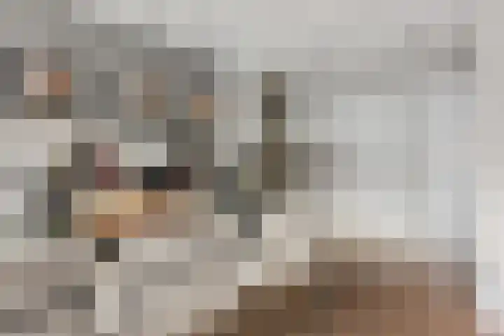 Oude Molenstraat 68 Oss thumbnail 6