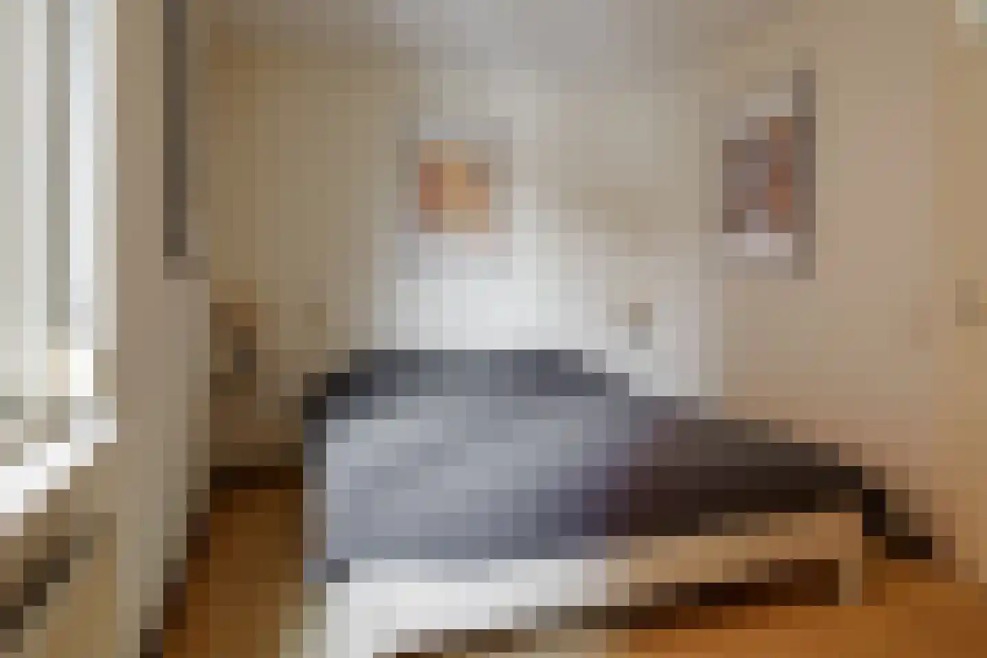 Oude Molenweg 14 Hengelo thumbnail 6