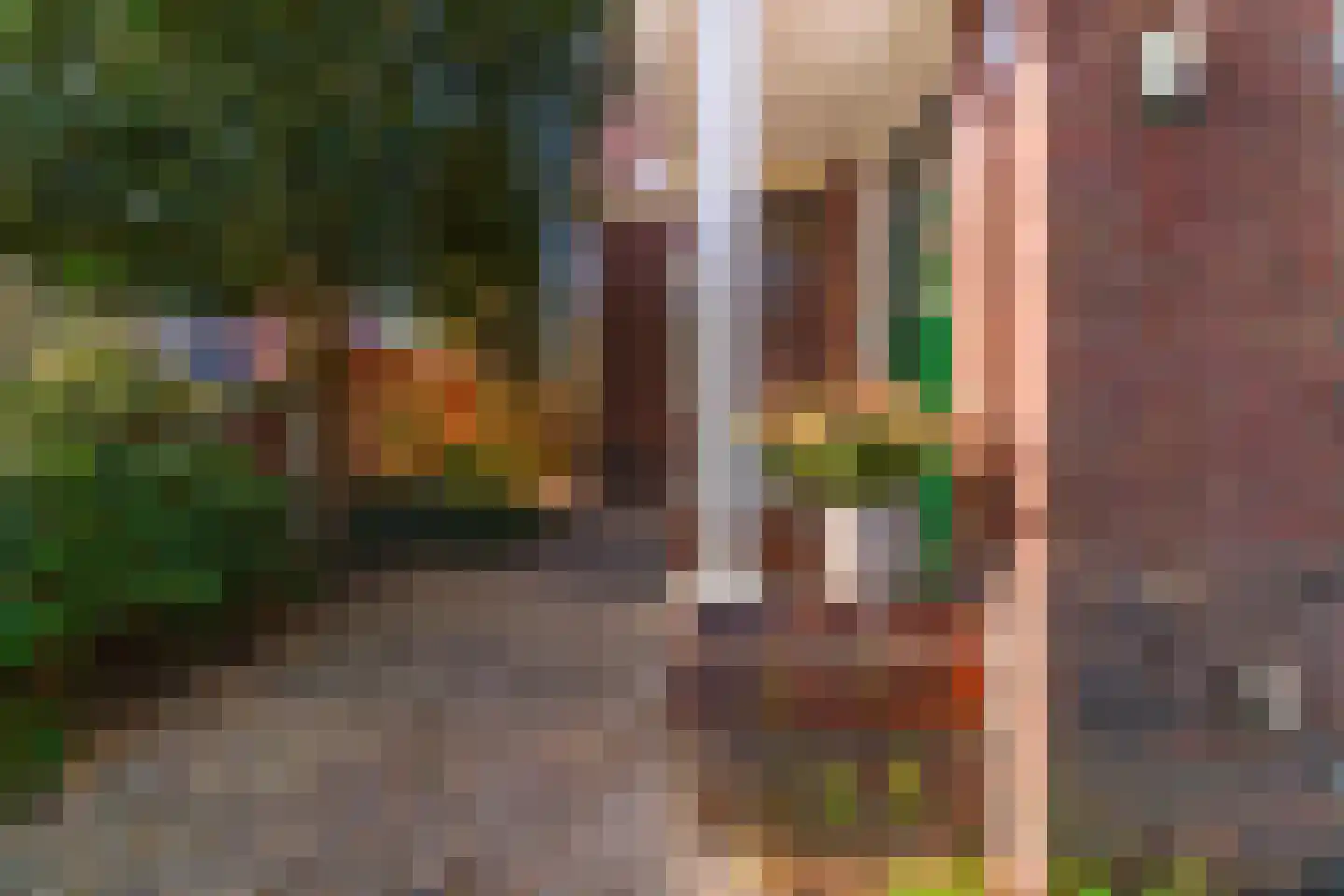 Oude Molenweg 165 Nijmegen thumbnail 73