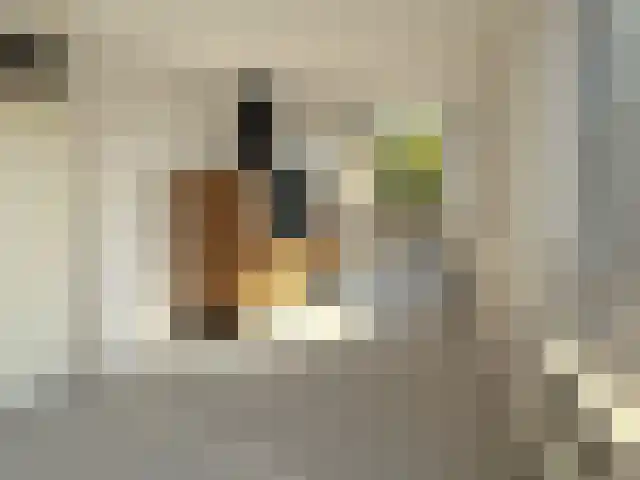 Oude-Molenweg 17 De Mortel thumbnail 24