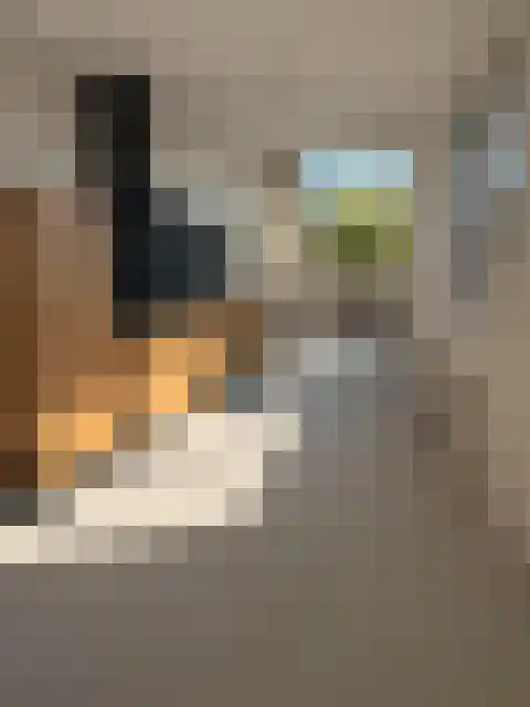 Oude-Molenweg 17 De Mortel thumbnail 26