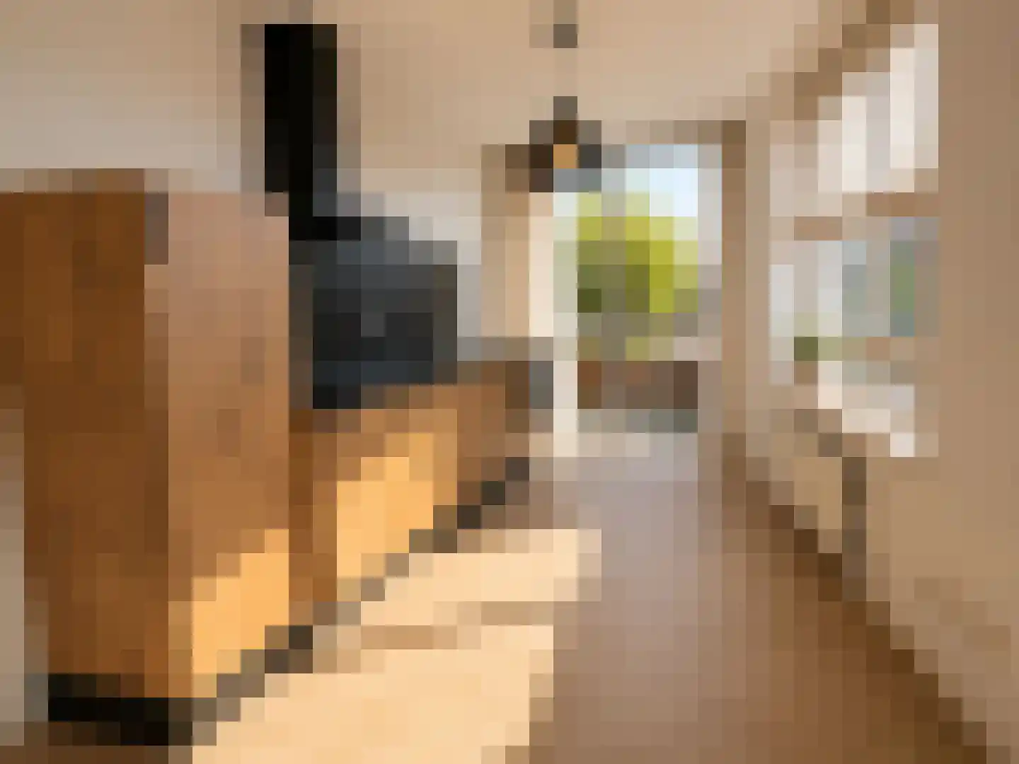 Oude-Molenweg 17 De Mortel thumbnail 29