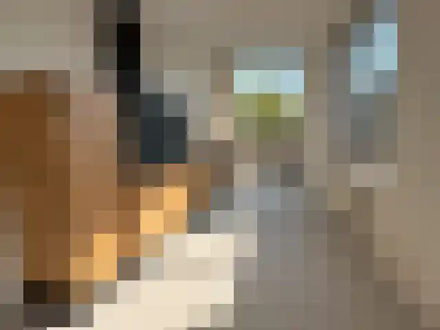 Oude-Molenweg 17 De Mortel thumbnail 5