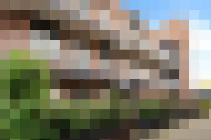 Oude Molenweg 18 Hengelo thumbnail 5