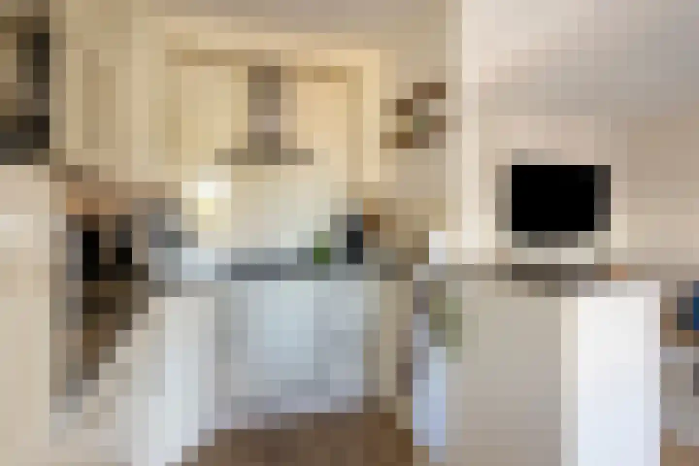 Oude Molenweg 22 Hengelo thumbnail 15