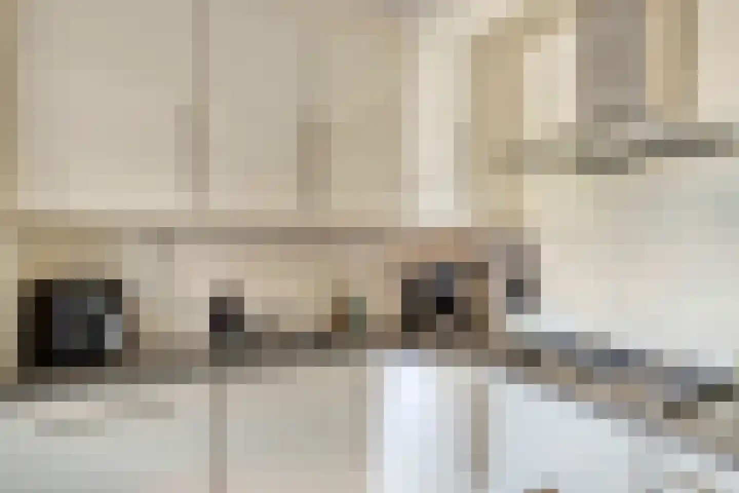Oude Molenweg 22 Hengelo thumbnail 17