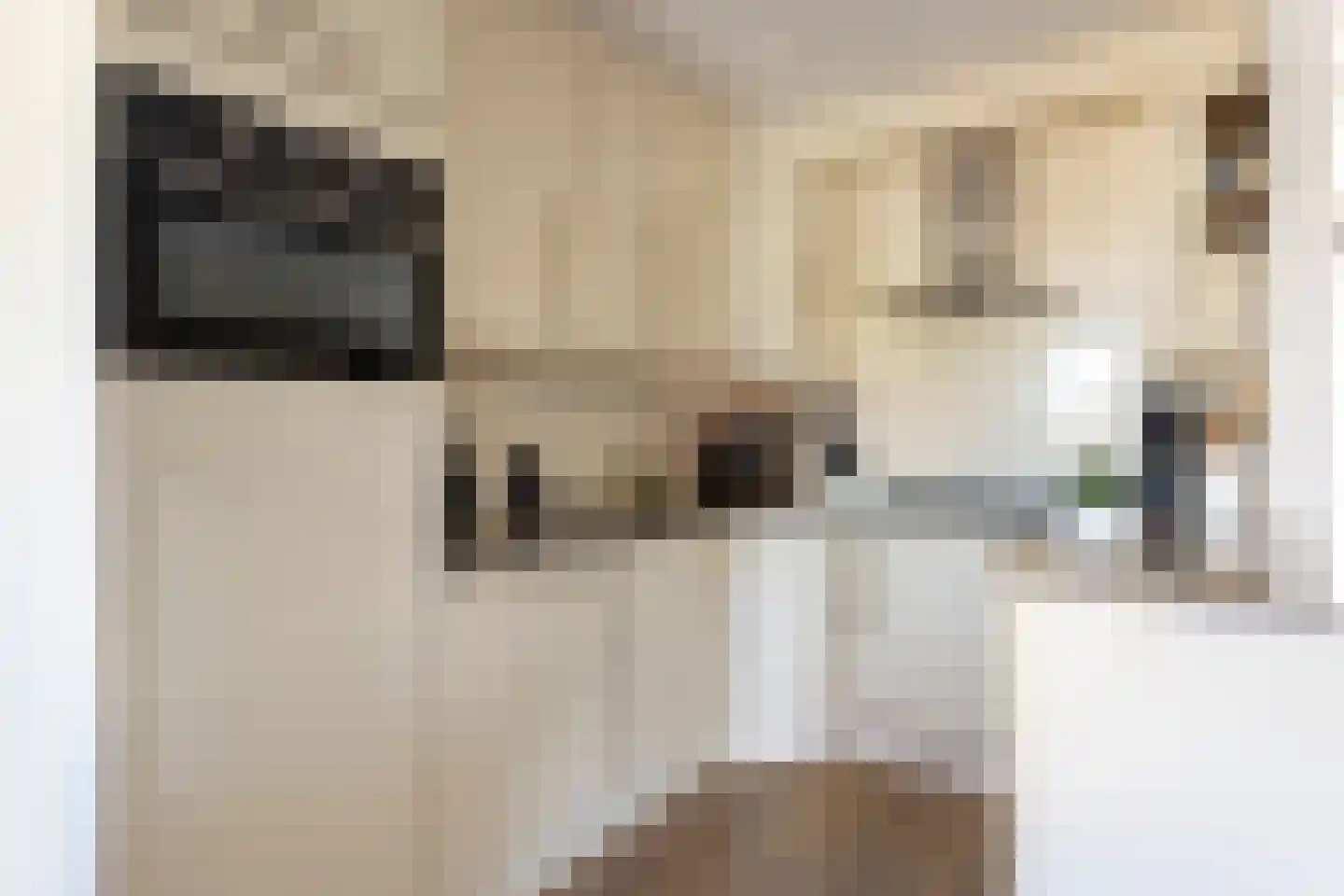 Oude Molenweg 22 Hengelo thumbnail 4