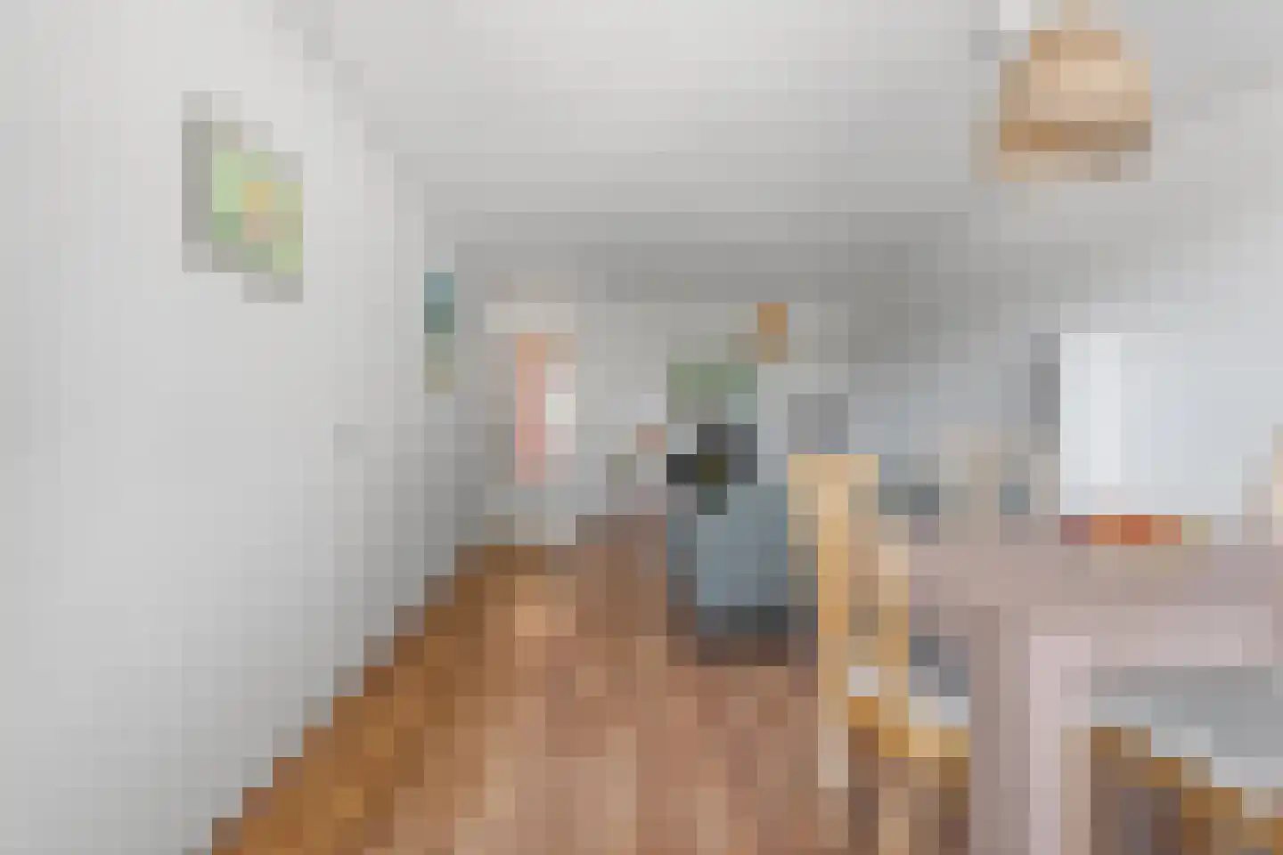 Oude Molenweg 221 E Nijmegen thumbnail 10