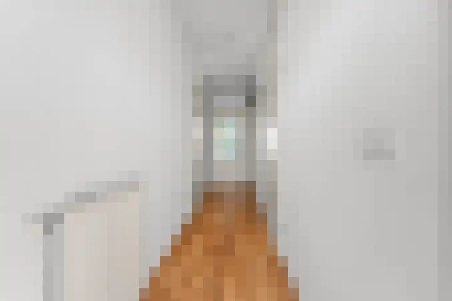 Oude Molenweg 221 E Nijmegen thumbnail 20