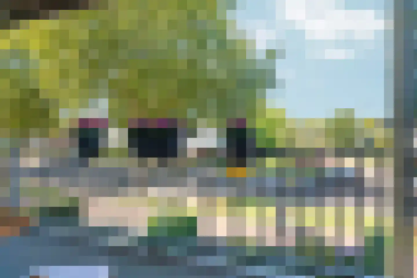 Oude Molenweg 221 E Nijmegen thumbnail 31