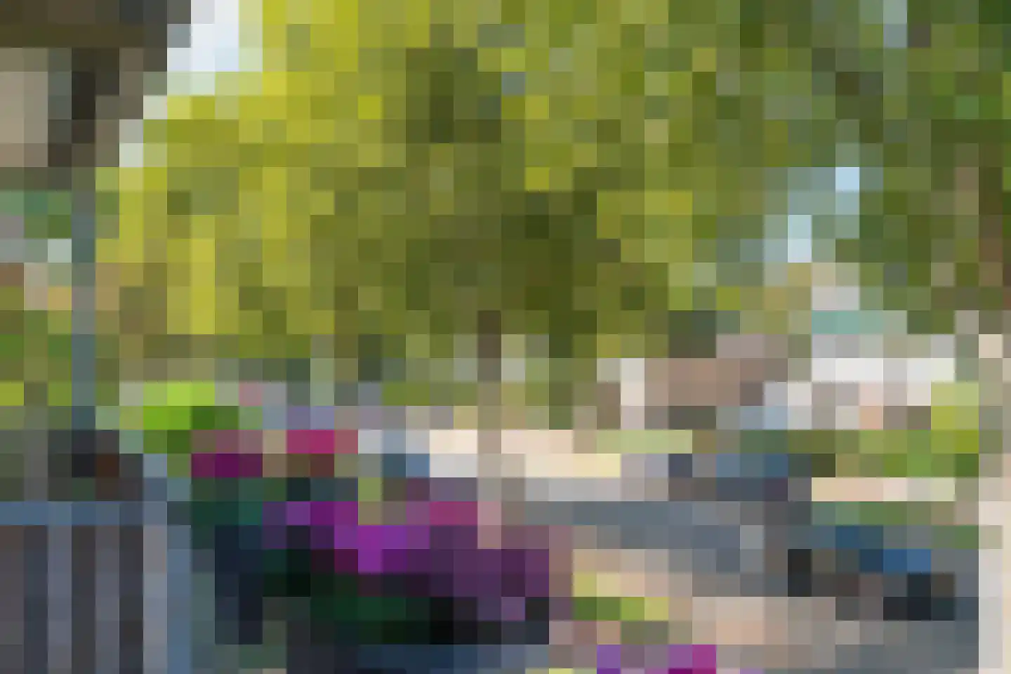 Oude Molenweg 221 E Nijmegen thumbnail 34