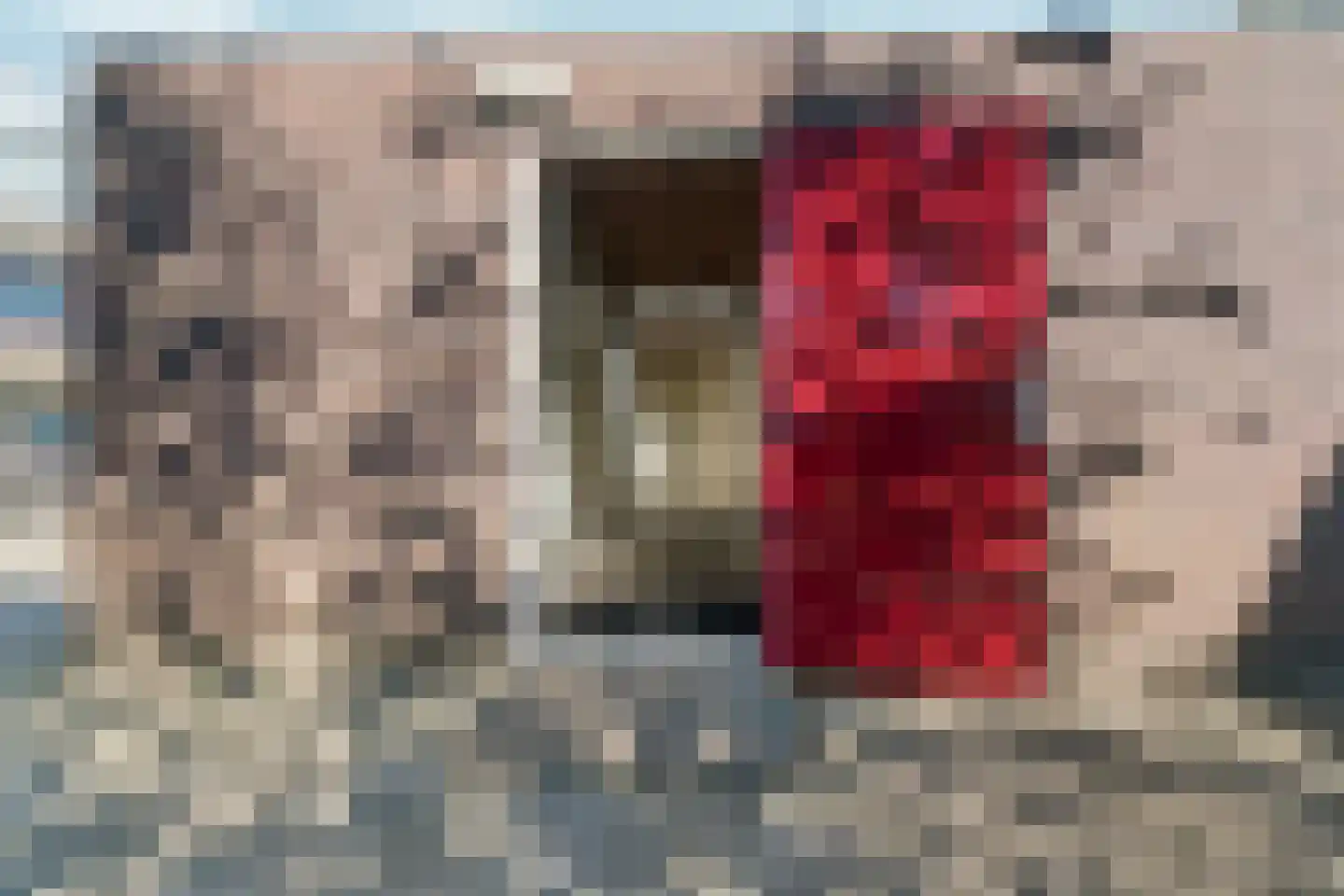 Oude Molenweg 221 E Nijmegen thumbnail 36