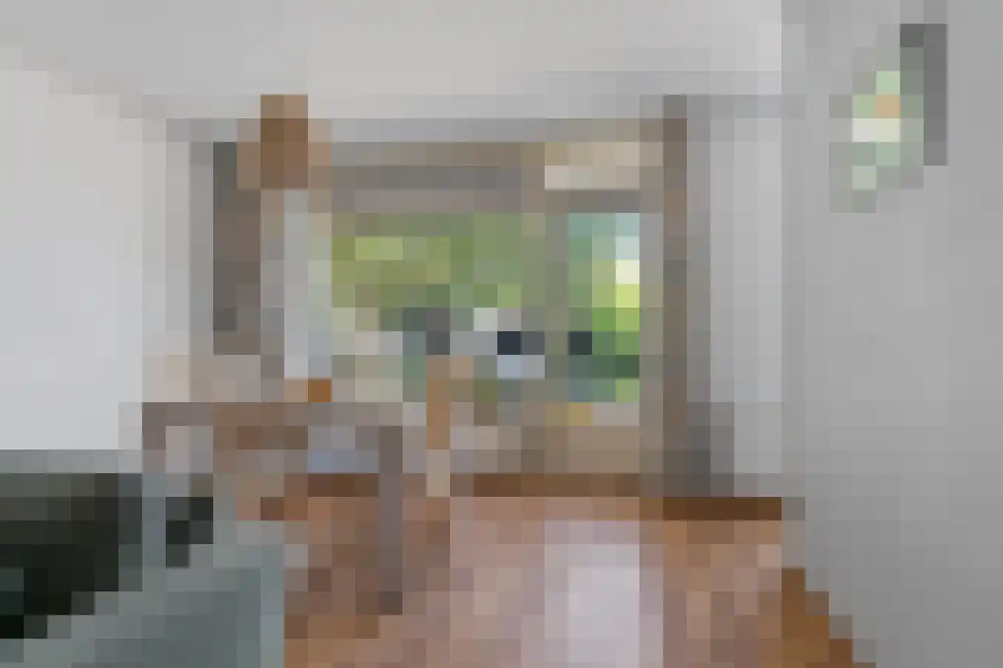 Oude Molenweg 221 E Nijmegen thumbnail 9