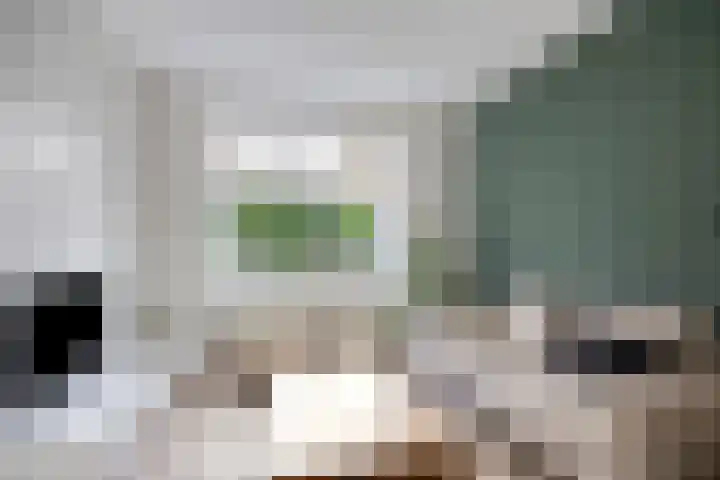 Oude Molenweg 222 Nijmegen thumbnail 10