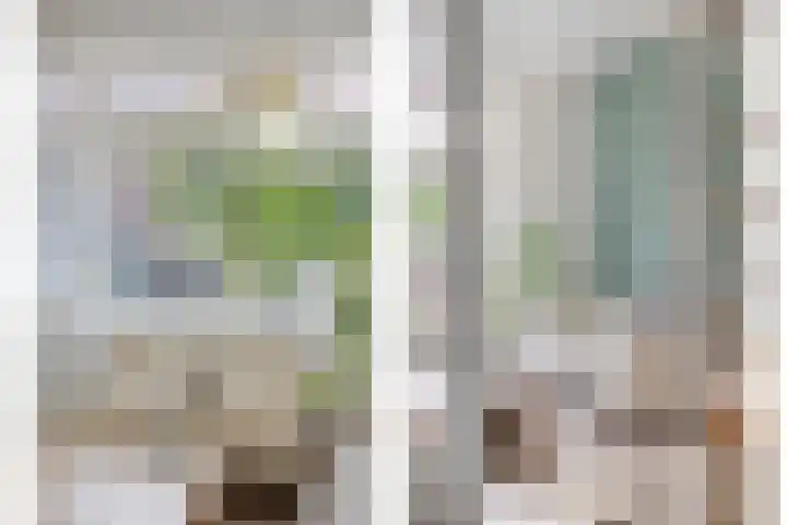 Oude Molenweg 222 Nijmegen thumbnail 16
