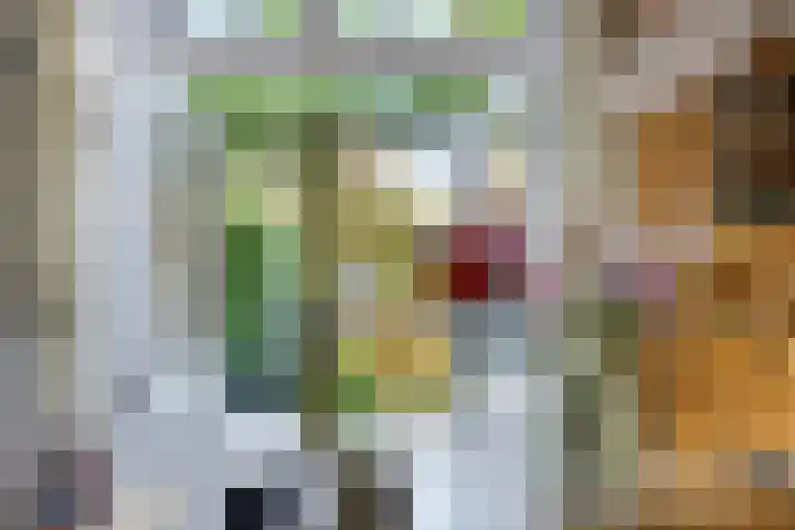 Oude Molenweg 222 Nijmegen thumbnail 18