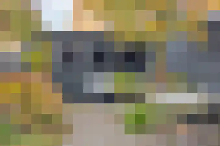 Oude Molenweg 222 Nijmegen thumbnail 20